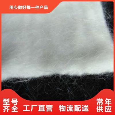 長(zhǎng)絲復(fù)合土工布 現(xiàn)代工程中的多功能防護(hù)衛(wèi)士